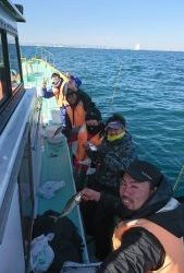 ＫＯＮＡＹＡｰＭＡＲＵ（こなや丸） 釣果