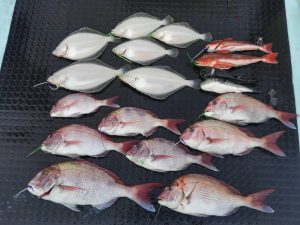 東京湾探釣隊ぼっち 釣果
