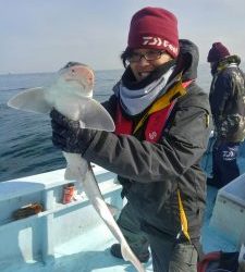 東京湾探釣隊ぼっち 釣果