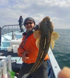 東京湾探釣隊ぼっち 釣果