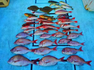 東京湾探釣隊ぼっち 釣果
