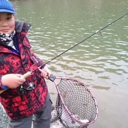 フィッシングエリア帝釈 釣果