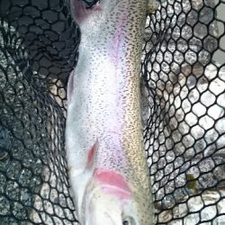 フィッシングエリア帝釈 釣果