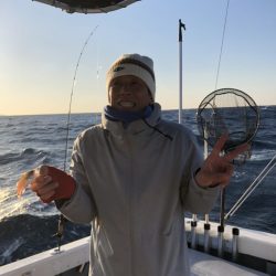 ブルーピア 釣果