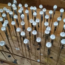 フィッシングエリア帝釈 釣果