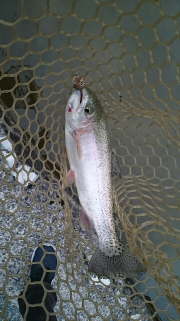 フィッシングエリア帝釈 釣果