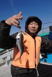 KONAYAーMARU(こなや丸) 釣果