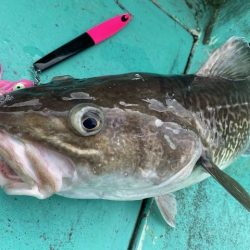 広進丸 釣果