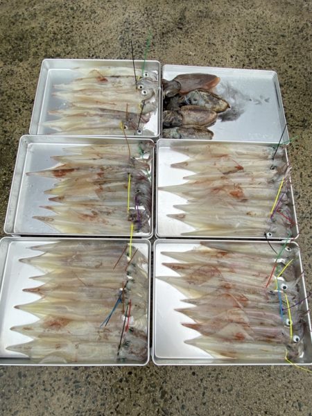 まるいち丸 ZERO-1 釣果