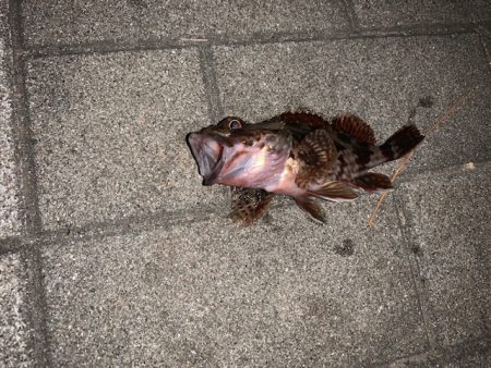 30分だけ　渋い