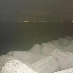 久々のメバリング