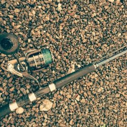 連休最終日は3本！！連休トータル12本