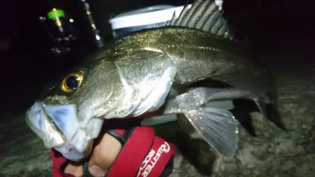 姫路メバリング