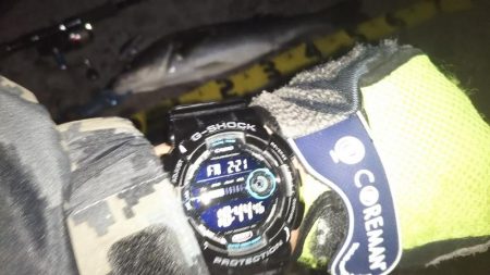 ぶらシーバス！！