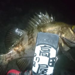 姫路でメバリング！！