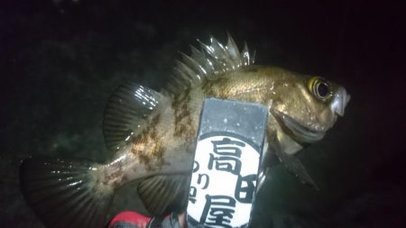 姫路でメバリング！！