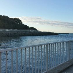 朝マズメに2キャッチ