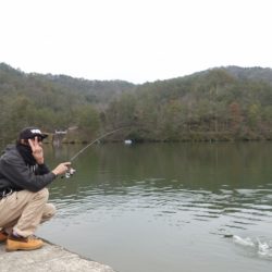 フィッシングレイクたかみや 釣果