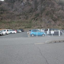 下関フィッシングパーク 釣果