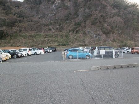 下関フィッシングパーク 釣果