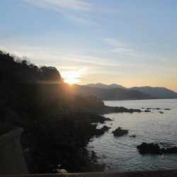 下関フィッシングパーク 釣果