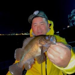 シーマジカル 釣果