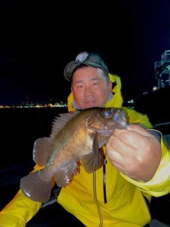 シーマジカル 釣果