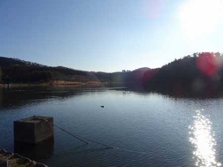 志高湖フィッシング 釣果