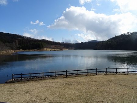 志高湖フィッシング 釣果