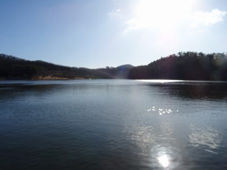 志高湖フィッシング 釣果