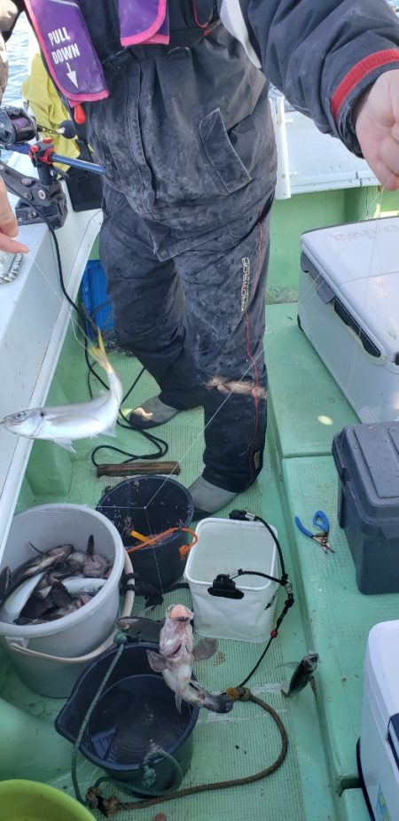 海龍丸（石川） 釣果