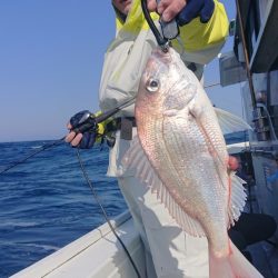 だて丸 釣果