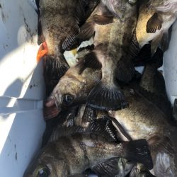 海龍丸（石川） 釣果