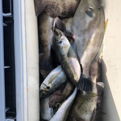 海龍丸（石川） 釣果