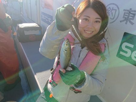 深川 吉野屋 釣果