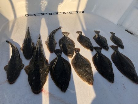 Magic(マジック) 釣果