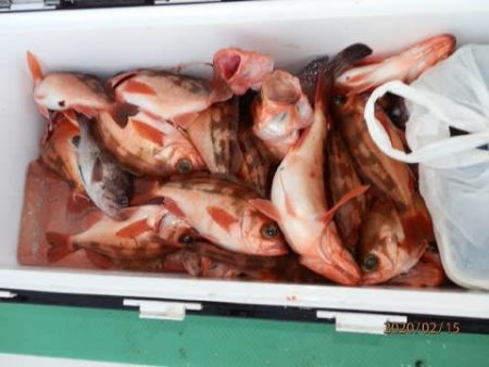 第二むつ漁丸 釣果