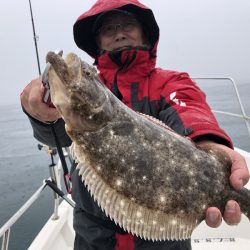 Magic（マジック） 釣果