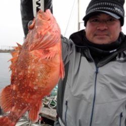 鯛紅丸 釣果