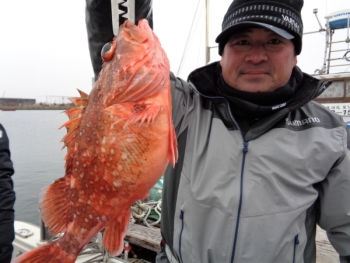 鯛紅丸 釣果