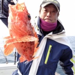 鯛紅丸 釣果