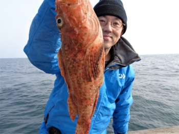 鯛紅丸 釣果