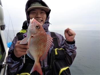 鯛紅丸 釣果