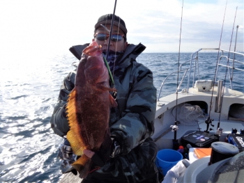 鯛紅丸 釣果