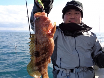 鯛紅丸 釣果