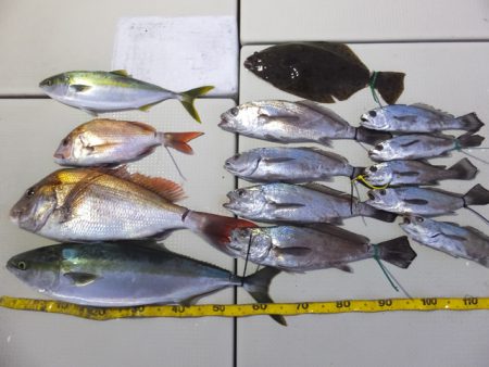 Hit Rush(ヒット ラッシュ） 釣果…