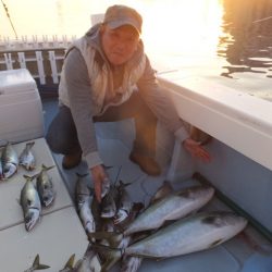 Hit Rush(ヒット ラッシュ) 釣果