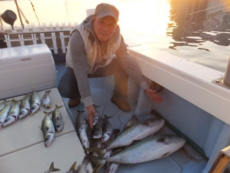 Hit Rush(ヒット ラッシュ) 釣果