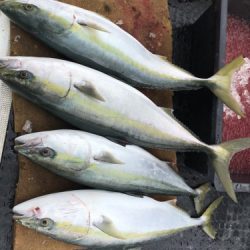 釣船 浦島太郎 釣果