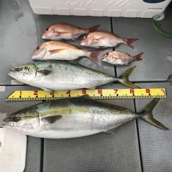 sea boss シーボス 釣果